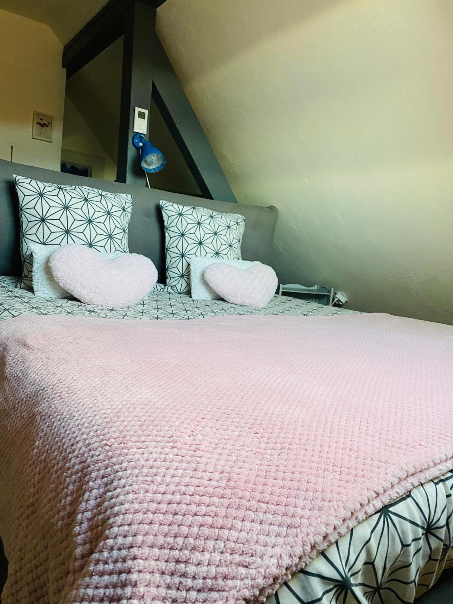 Les Appartements D'Estelle ลาเปอติต-ปีแยร์ ภายนอก รูปภาพ